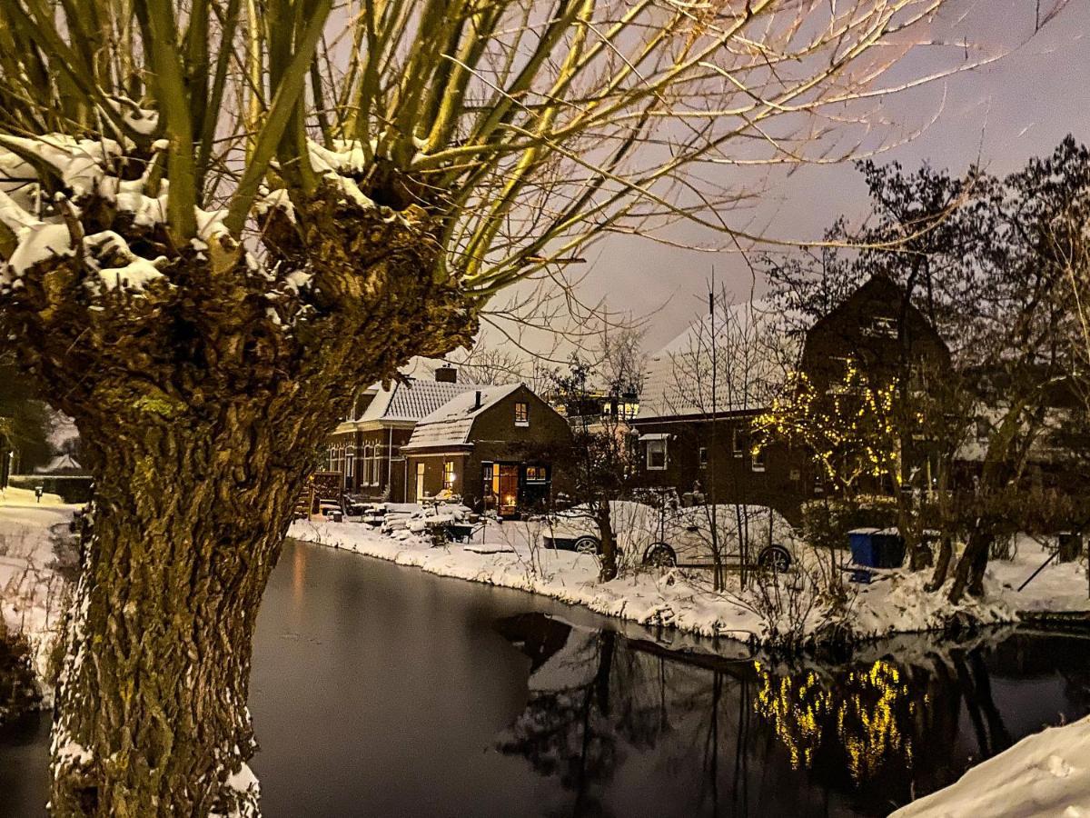 Guesthouse Rotterdam, Tinyhouse Nearby Kralingen Ngoại thất bức ảnh