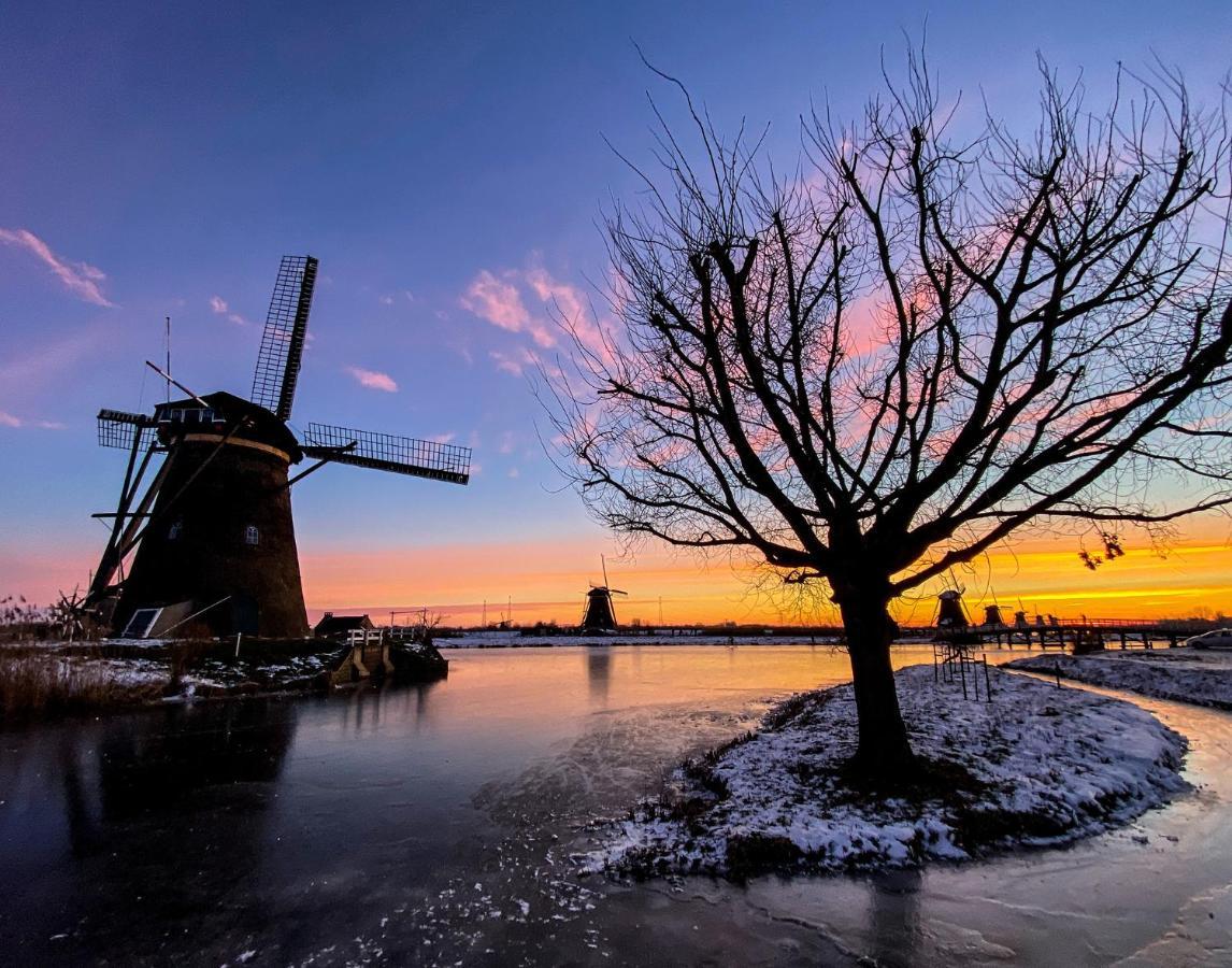 Guesthouse Rotterdam, Tinyhouse Nearby Kralingen Ngoại thất bức ảnh